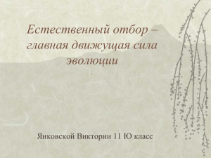 Естественный отбор – главная движущая сила эволюции Янковской Виктории 11 Ю класс