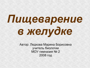 Пищеварение в желудке Автор: Ледкова Марина Борисовна учитель биологии