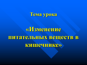 «Изменение питательных веществ в кишечнике» Тема урока