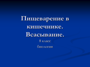 Пищеварение в кишечнике. Всасывание.