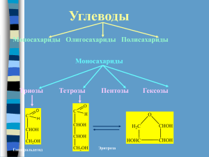 Углеводы Моносахариды   Олигосахариды   Полисахариды Моносахариды