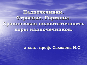 Надпочечники. Строение. Гормоны. Хроническая