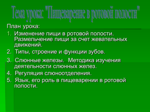 План урока: Изменение пищи в ротовой полости. Размельчение пищи за счет жевательных движений.