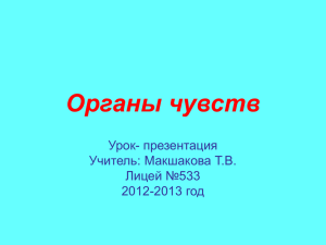 Органы чувств Урок- презентация Учитель: Макшакова Т.В. Лицей №533