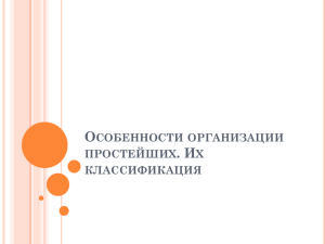 1. Особенности организации простейших. Их классификация.