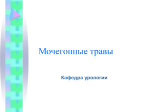 Мочегонные травы