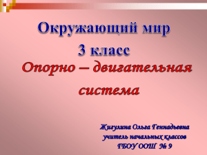 Урок по окружающему миру в 3 классе