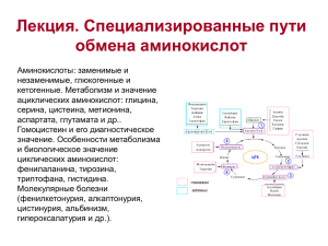 Лекция. Специализированные пути обмена аминокислот