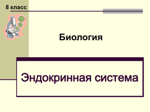 Эндокринная система Биология 8 класс