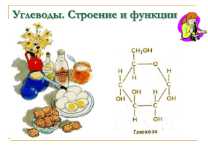 Углеводы. Строение и функции