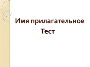 Лицей 41. Имя прилагательное