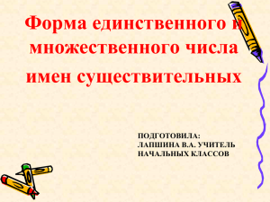 Форма единственного и множественного числа имен существительных ПОДГОТОВИЛА: