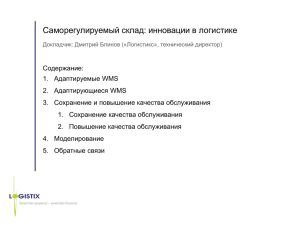 Что такое «адаптируемая WMS»?