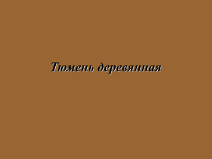 Презентация "Тюмень деревянная".