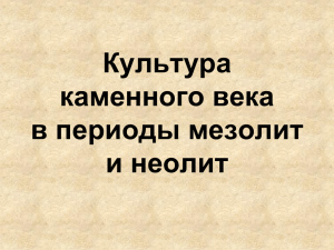 Культура каменного века в периоды мезолит и неолит Причины