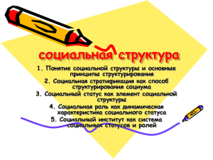 социальная структура