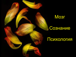 Мозг Сознание Психология