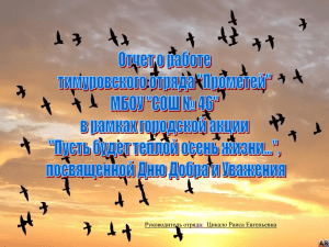 Отчет о работе тимуровского отряда «Прометей» МБОУ «