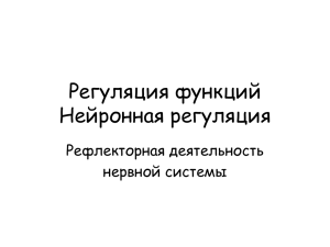 Нейронная регуляция