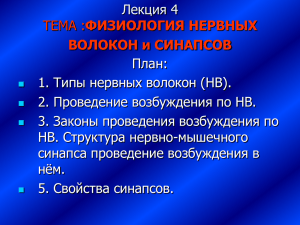 ТЕМА :ФИЗИОЛОГИЯ НЕРВНЫХ ВОЛОКОН.