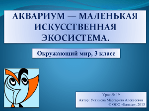 Окружающий мир, 3 класс Урок № 19 Автор: Устинова Маргарита Алексеевна