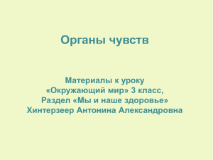 Органы чувств