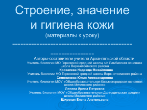 Презентация фрагментов урока биологии Кожа