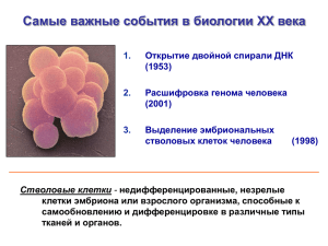 Стволовые клетки. Презентация