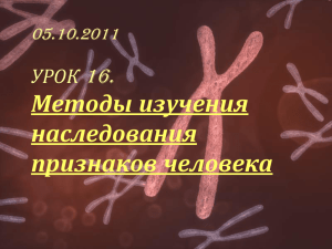 Презентация к уроку 16