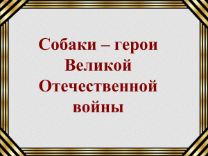 Собаки – герои Великой Отечественной войны