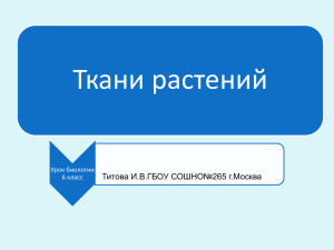 Ткани растений Титова И.В.ГБОУ СОШНО№265 г.Москва Урок биологии 6 класс