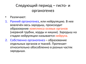 Следующий период – гисто