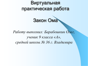 работа участника проекта