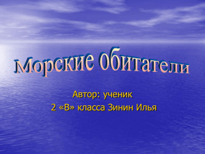 Автор: ученик 2 «В» класса Зинин Илья