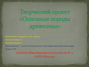 Презентация основные породы древесины