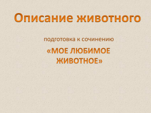 Подготовка к сочинению «ОПИСАНИЕ ЖИВОТНОГО