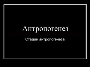 Антропогенез Стадии антропогенеза