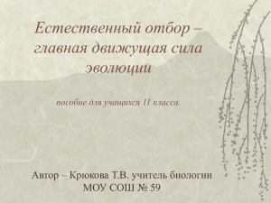 Естественный отбор – главная движущая сила эволюции Автор – Крюкова Т.В. учитель биологии