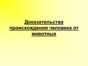 Сходство человека и человекообразных обезьян.