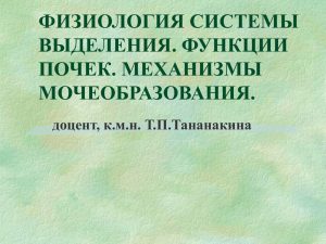 физиология системы выделения. функции почек. механизмы