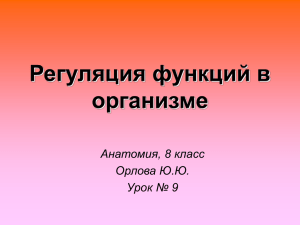 Урок № 09_8