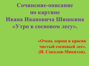 Утро в сосновом лесу