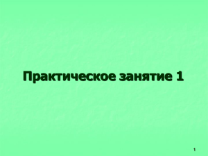 Практическое занятие 1