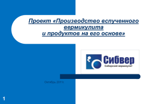 Проект «Производство вспученного вермикулита и продуктов на его основе» 1