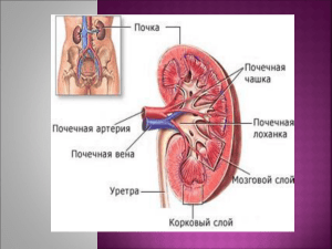 Кожевникова Л.Б. Предупреждение заболеваний