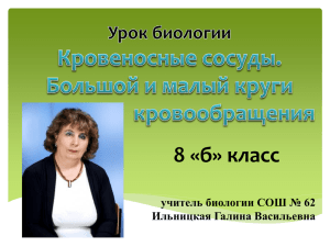 8 «б» класс учитель биологии СОШ № 62 Ильницкая Галина Васильевна