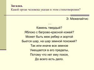 Сердце человека. - Электронные Образовательные Ресурсы