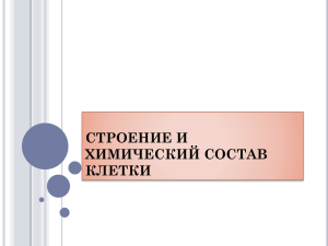 СТРОЕНИЕ И ХИМИЧЕСКИЙ СОСТАВ КЛЕТКИ