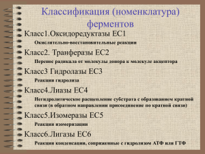 Классификация (номенклатура) ферментов