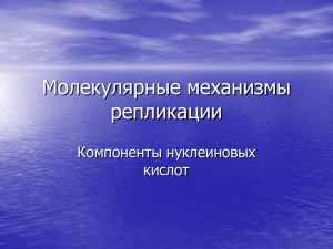 Молекулярные механизмы репликации